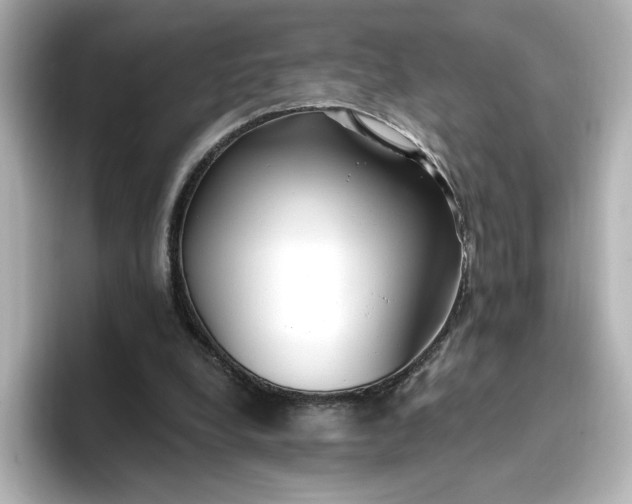 X0000096970248200802221409