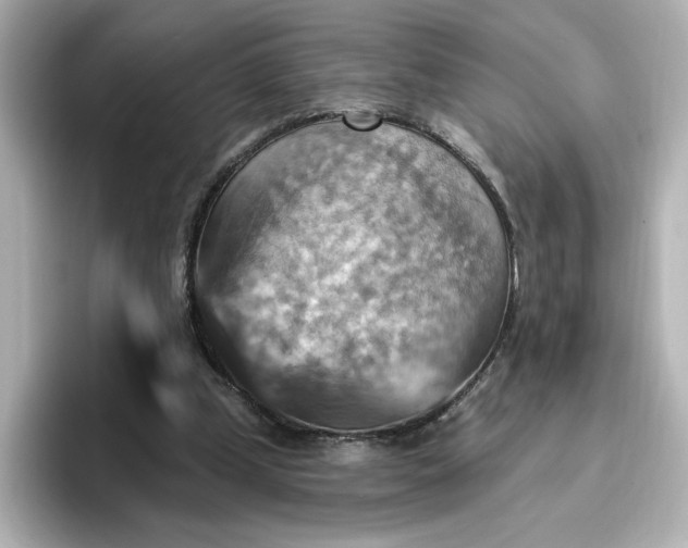 X0000096970249200802221409