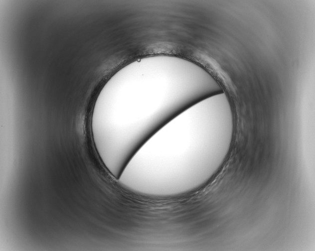 X0000096970250200802221409