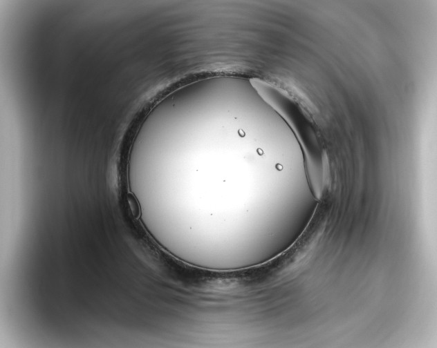 X0000096970252200802221409