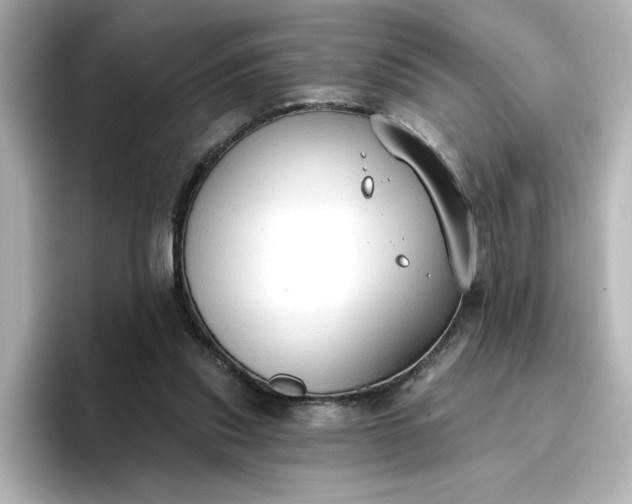 X0000096970253200802221409