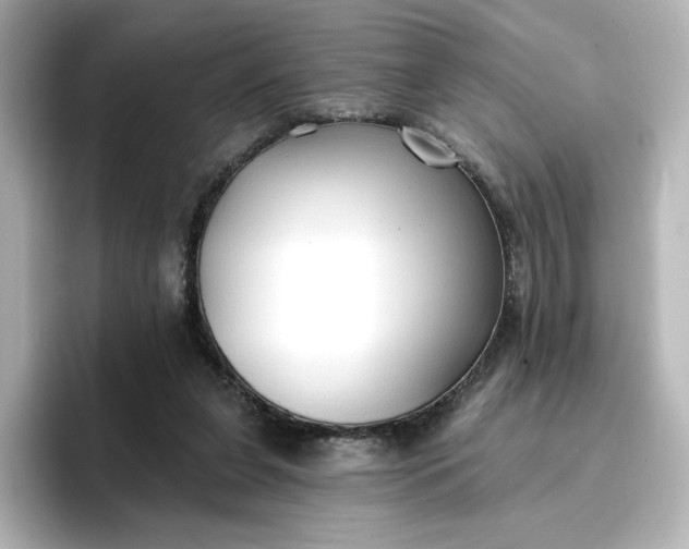 X0000096970255200802221409