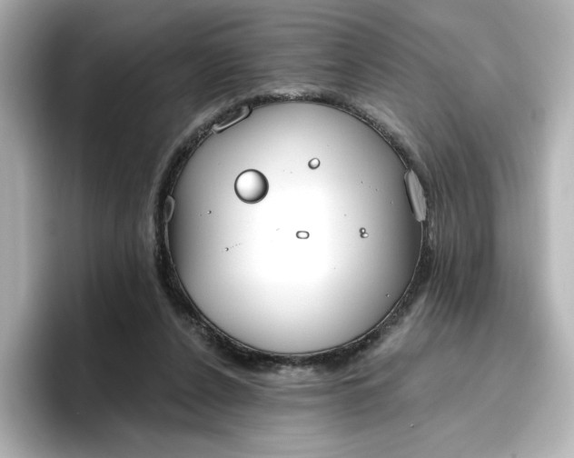 X0000096970256200802221409