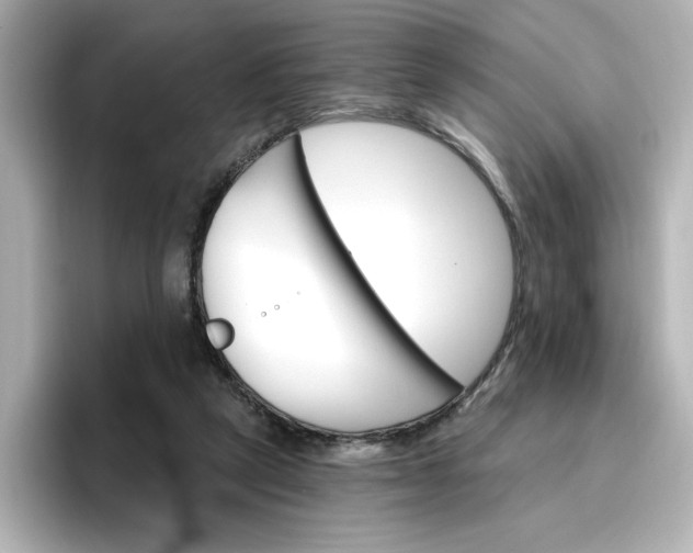 X0000096970257200802221409