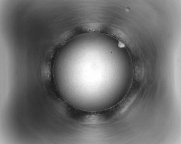 X0000096970259200802221409