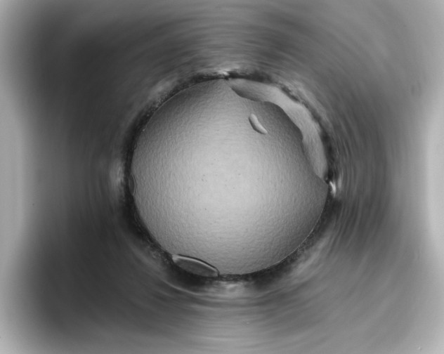 X0000096970260200802221409