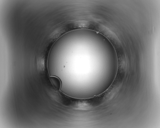 X0000096970262200802221409