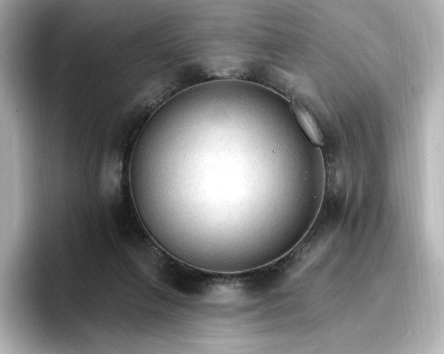 X0000096970263200802221409