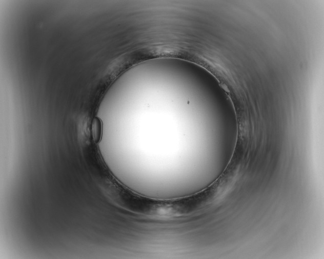 X0000096970264200802221409