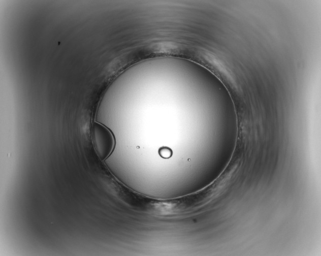 X0000096970265200802221409