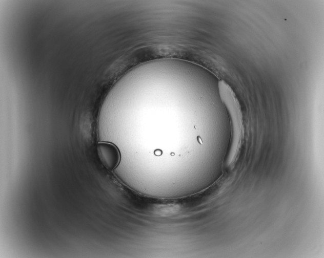 X0000096970266200802221409