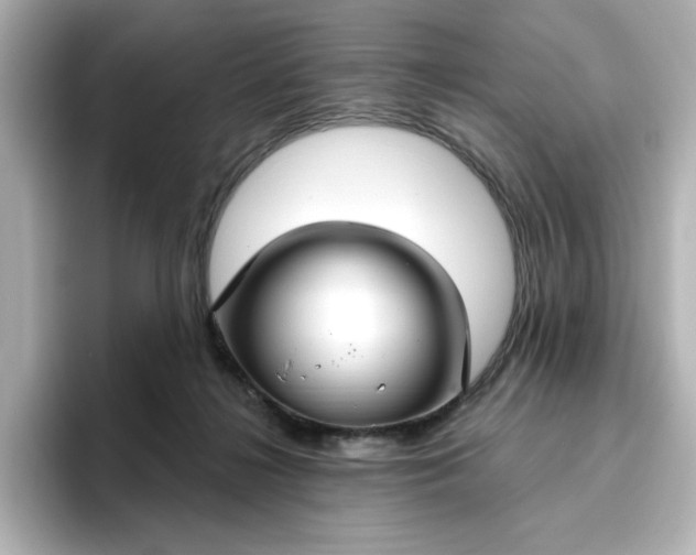 X0000096970268200802221409