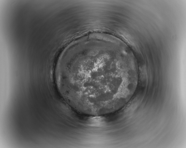 X0000096970269200802221409