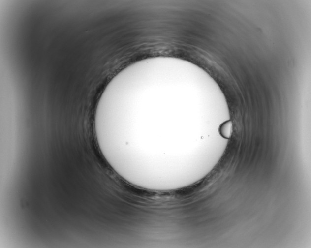 X0000096970270200802221409