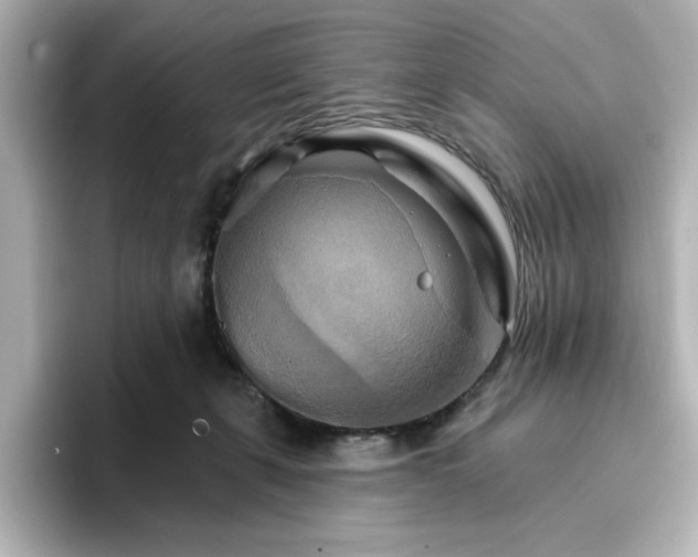 X0000096970271200802221409