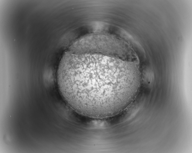 X0000096970272200802221409