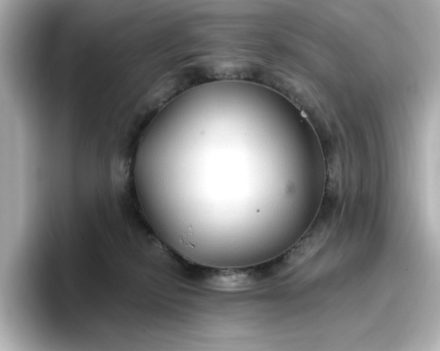 X0000096970278200802221409