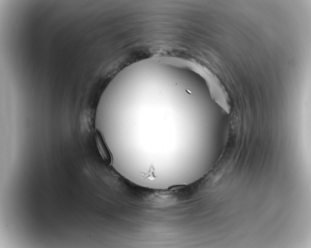 X0000096970280200802221409