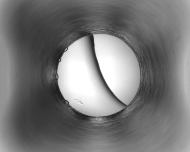 X0000096970281200802221409