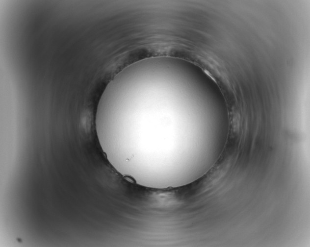 X0000096970283200802221409