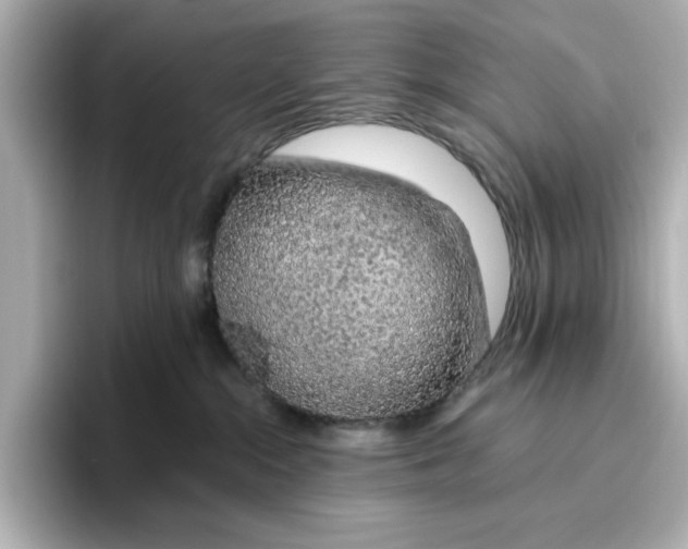 X0000096970284200802221409