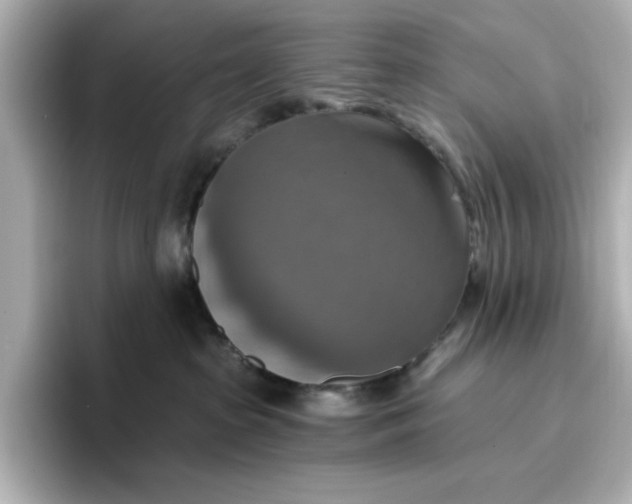 X0000096970285200802221409