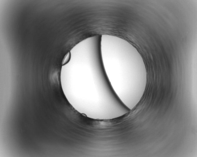 X0000096970286200802221410