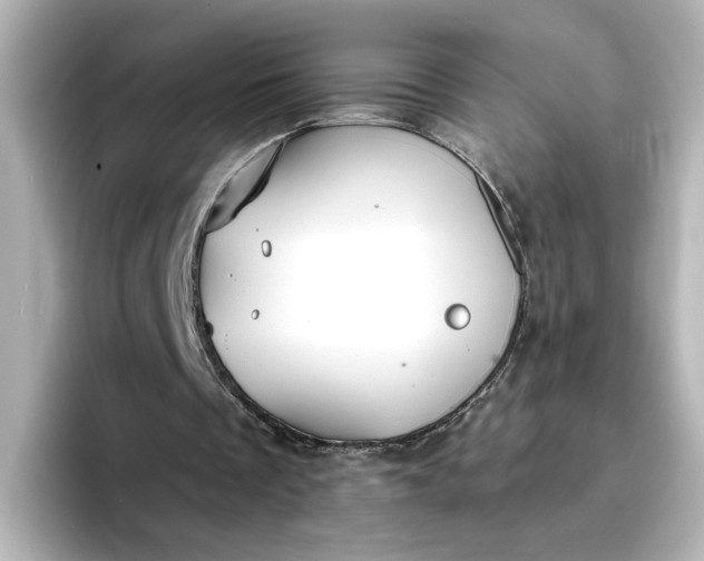 X0000096970289200802221409