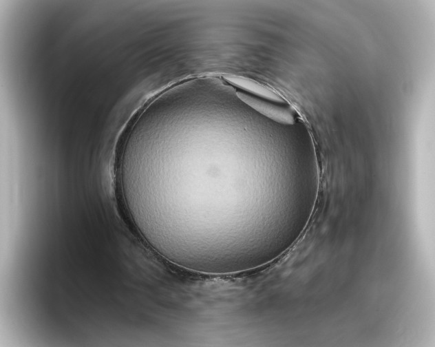 X0000096970290200802221409