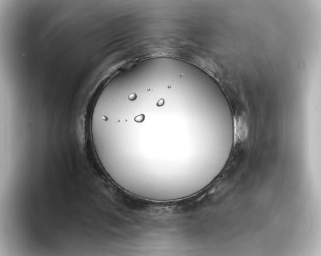 X0000096970291200802221409