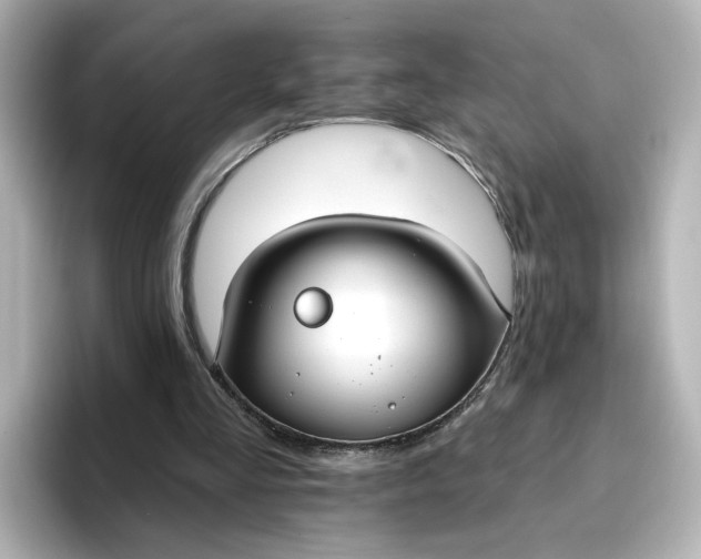 X0000096970293200802221409