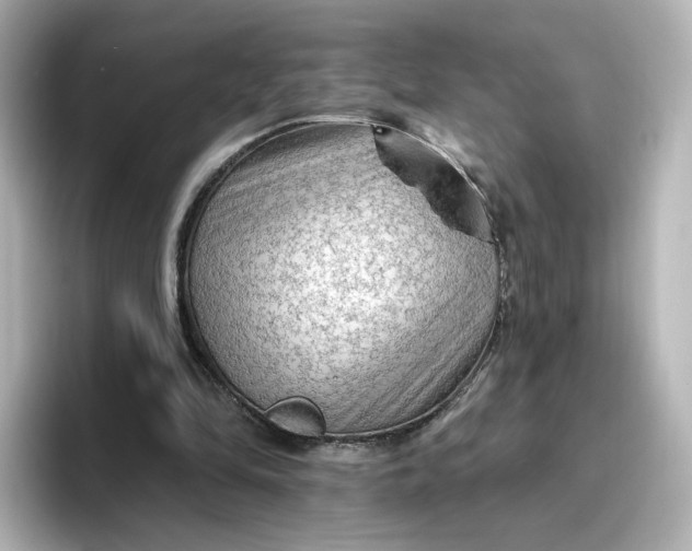 X0000096970294200802221409