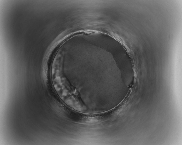 X0000096970295200802221409