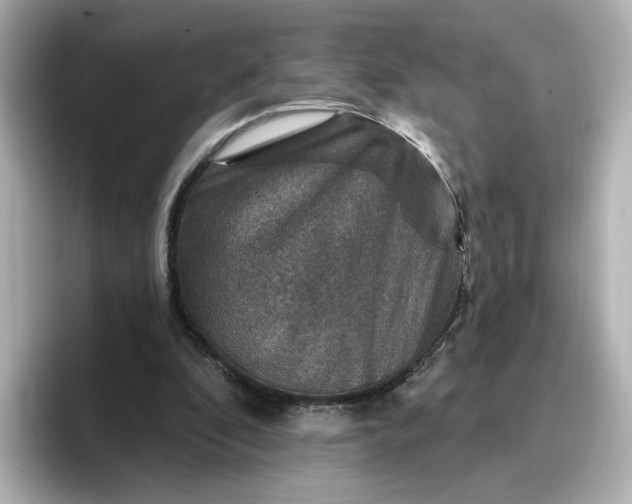 X0000096970296200802221409