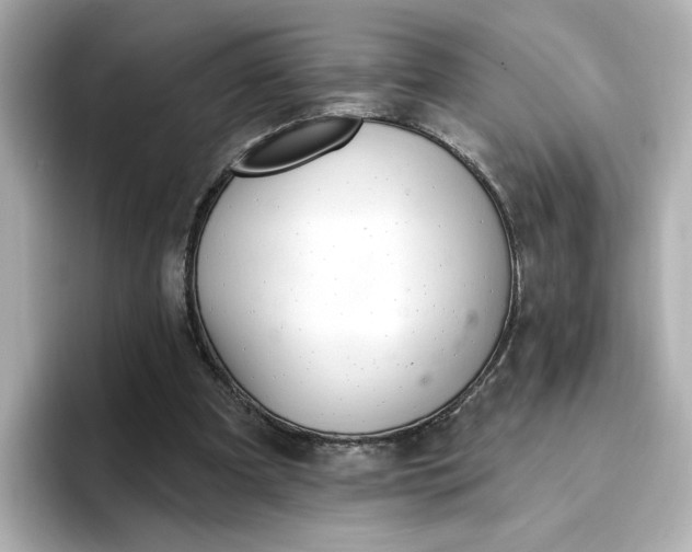 X0000096970297200802221409