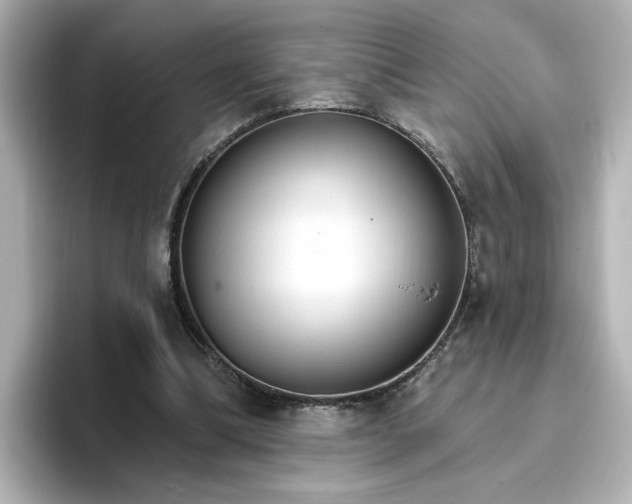 X0000096970298200802221409