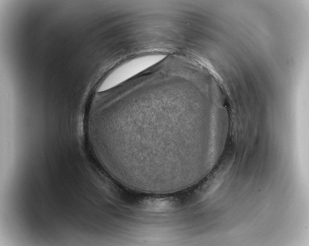 X0000096970299200802221409