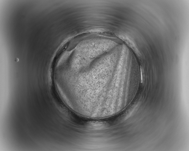 X0000096970300200802221409