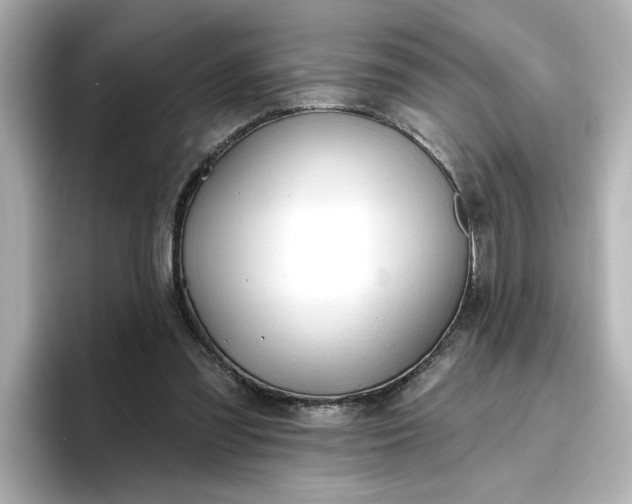 X0000096970301200802221409