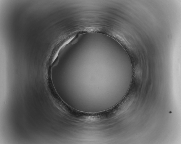 X0000096970303200802221409