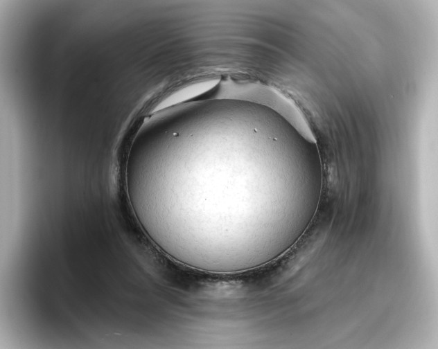 X0000096970304200802221409