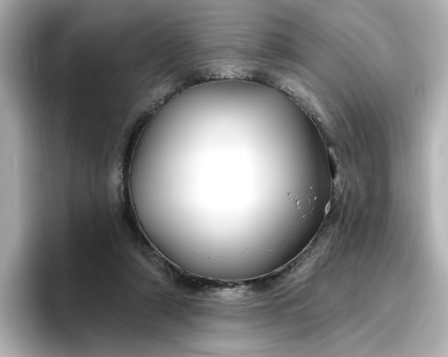 X0000096970306200802221409