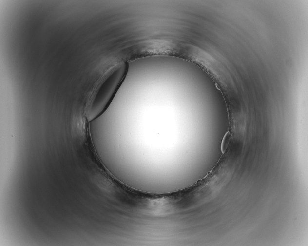 X0000096970309200802221409