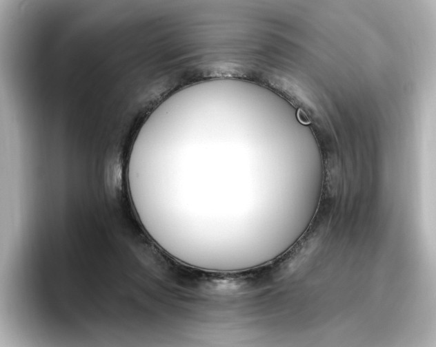 X0000096970310200802221409