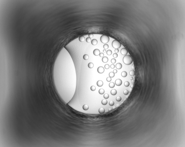 X0000096970311200802221409