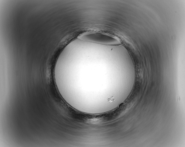 X0000096970312200802221409