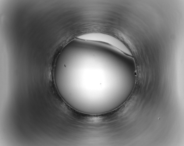 X0000096970313200802221409