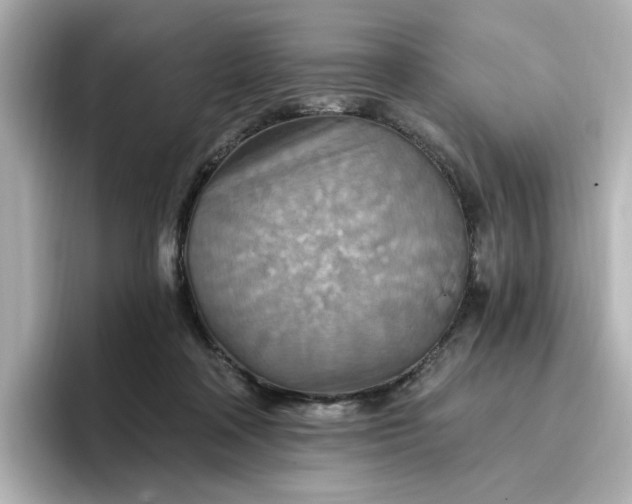 X0000096970314200802221409