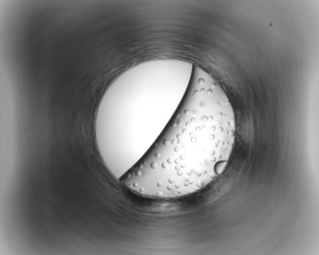 X0000096970319200802221408