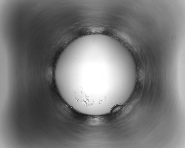 X0000096970321200802221408